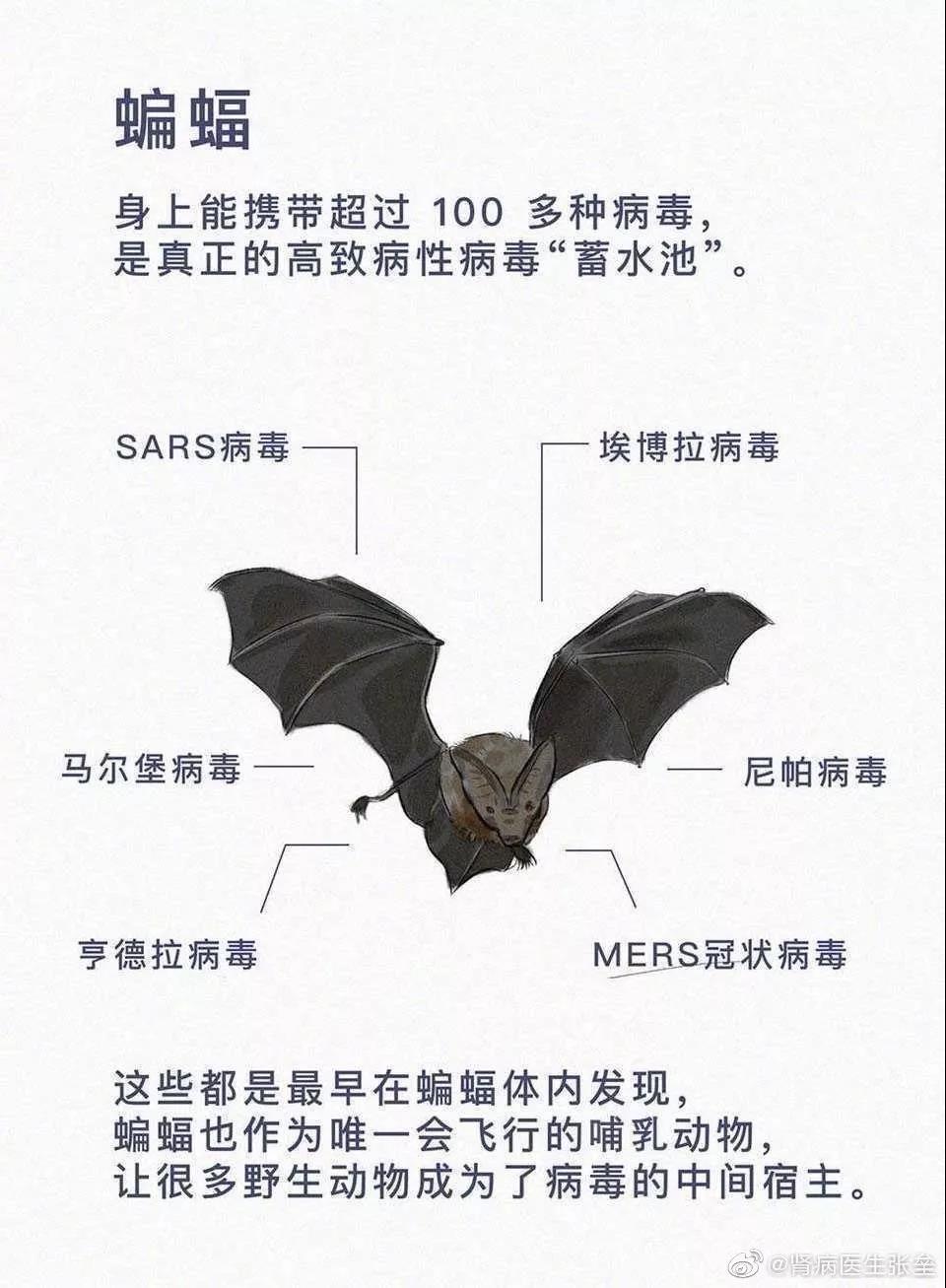 这10道与疫情有关的作业题，你的孩子会如何作答？