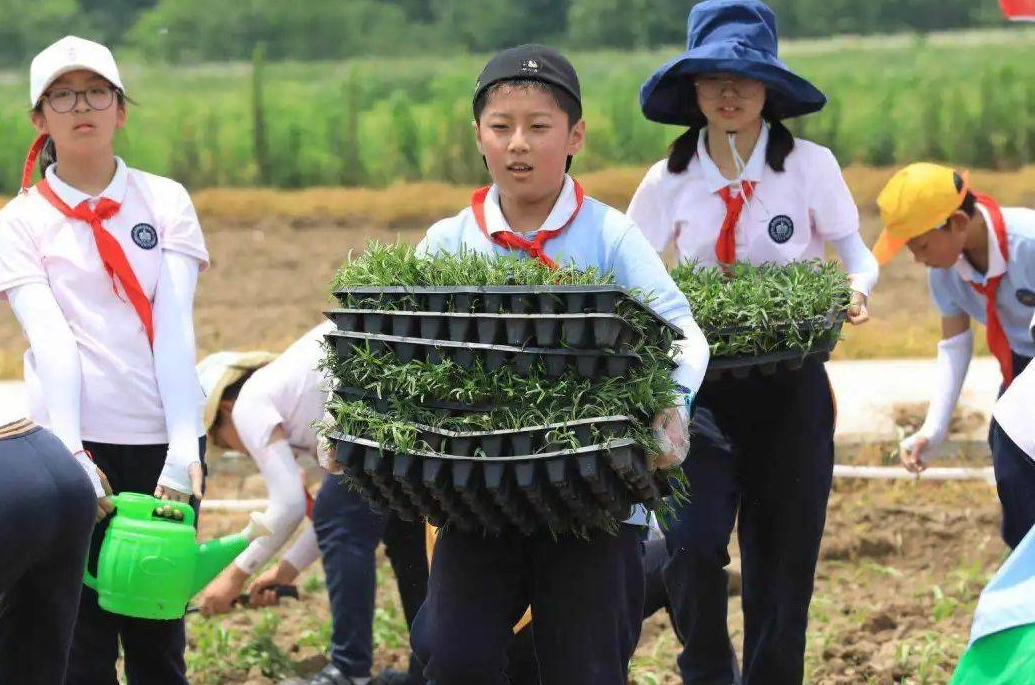 最新通知，事关全省中小学生！